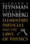 Elementary Particles and the Laws of Physics