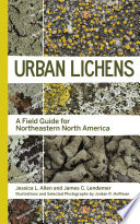 Urban Lichens